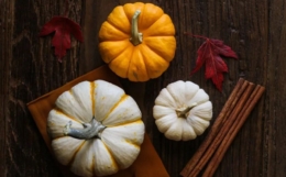 事业用神有几个的情况下,要如何择一而用?