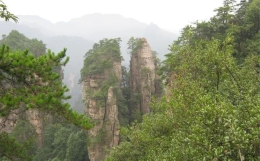 八字的“望山法”——请把你的眼光从雄狮身上的疤痕处移开