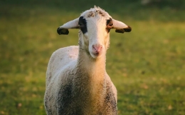 警惕你身边的小人！