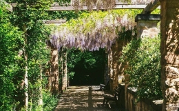 倒食冲，莫轻视！一位“前苦后甜”的网友的八字分析