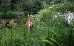 财星被合的人，你一定要“小气些”！