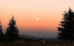 请不要抛弃流月流日流时！