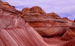 与其他软件不一样！辰戌丑未中的“本、中、余”气到底是什么？