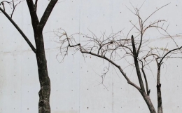 我学习命理学知识的一些心得