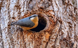 别只当它是玄学:命理咨询,既是情绪树洞,也是执行力教练