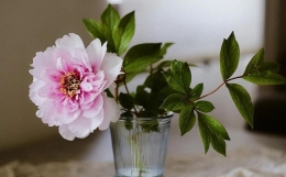 无论男女,这样的八字都要注意“离婚”问题