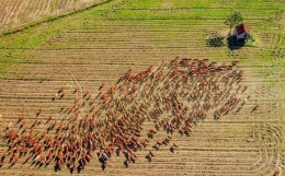 纵向延伸!为什么我更擅长“学业学历”的分析?