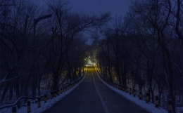 4-1 格局低≠命差！为什么有些八字看似很普通，但实际却是“高大上”