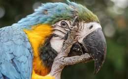 2-13 八字中“神煞”到底重要不重要？