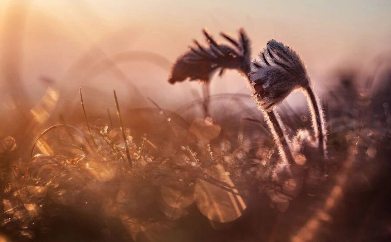 你正在被“梦境”困扰吗？