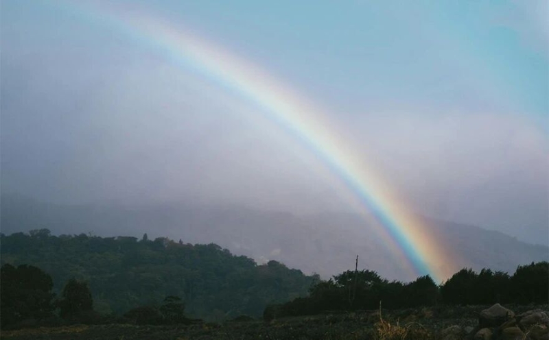 我在清明节遇到的“奇事”