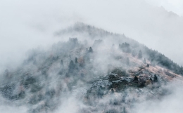 劫财旺,金箍棒!十神旺的时候,身旺身衰会带来截然不同的结果